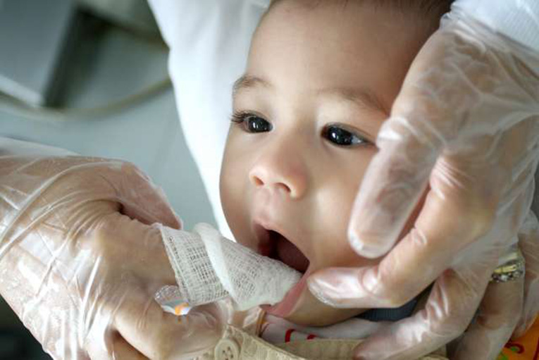 Bebés no Dentista